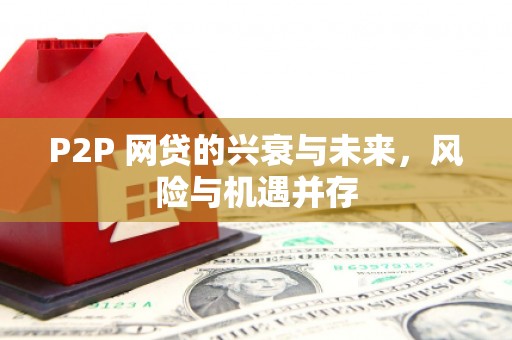 沂南P2P 网贷的兴衰与未来，风险与机遇并存