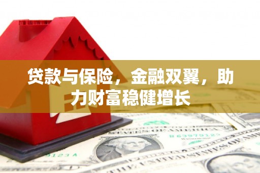 沂南贷款与保险，金融双翼，助力财富稳健增长