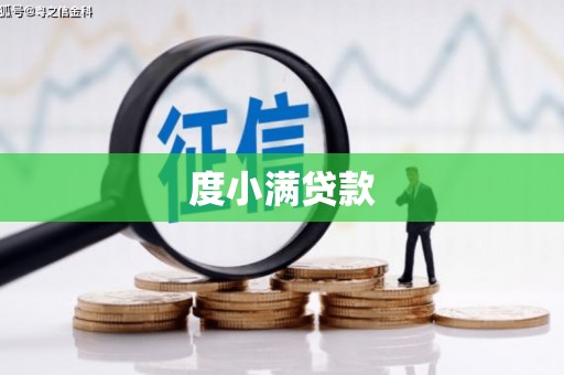 沂南度小满贷款