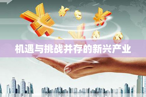 沂南机遇与挑战并存的新兴产业