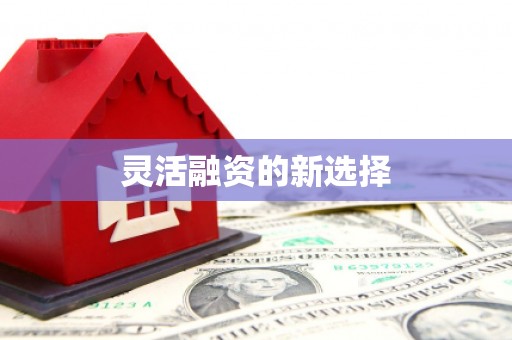 沂南灵活融资的新选择