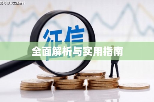 沂南全面解析与实用指南