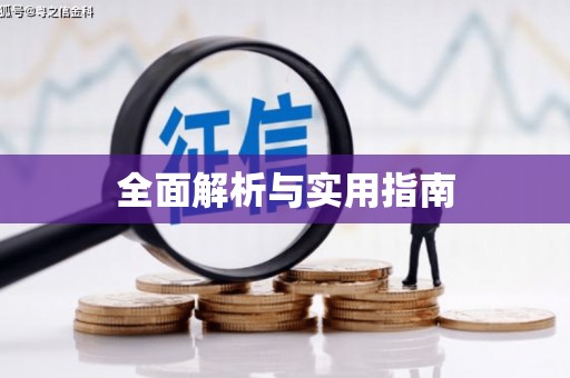 沂南全面解析与实用指南