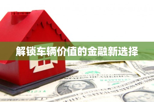 沂南解锁车辆价值的金融新选择